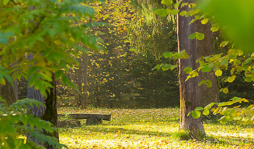 Времена года