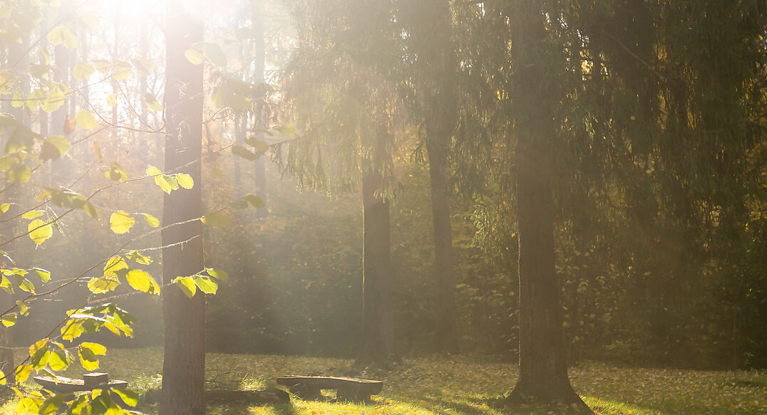 Времена года