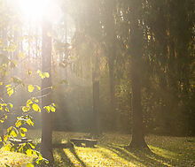 Времена года