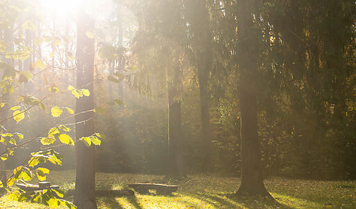 Времена года