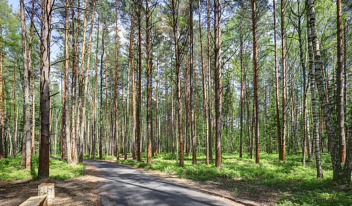 Завидово Марина