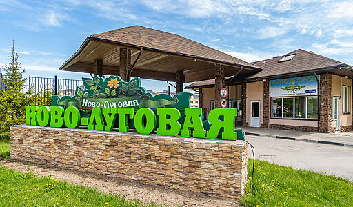 Новолуговая