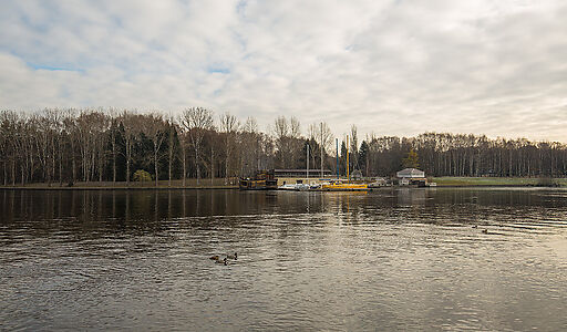 Золотой город