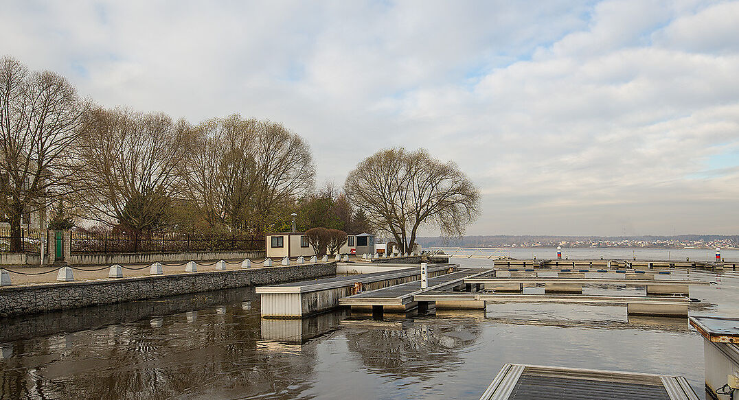 Золотой город