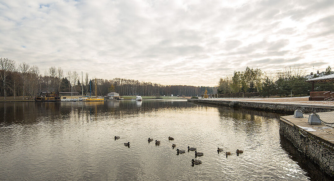 Золотой город