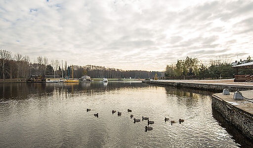 Золотой город