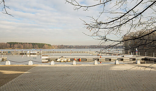 Золотой город