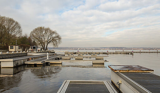 Золотой город