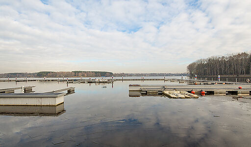 Золотой город