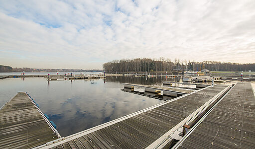 Золотой город