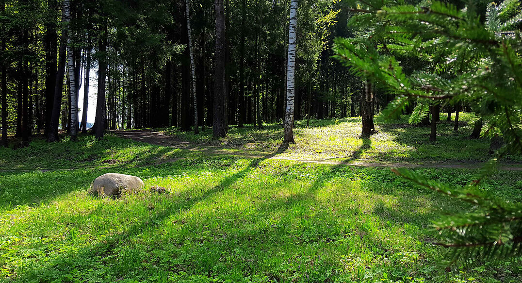 Трудовая Северная