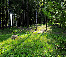 Трудовая Северная