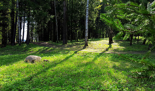 Трудовая Северная