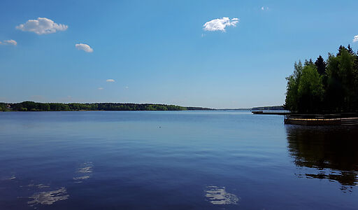 Трудовая Северная