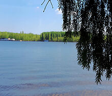 Трудовая Северная