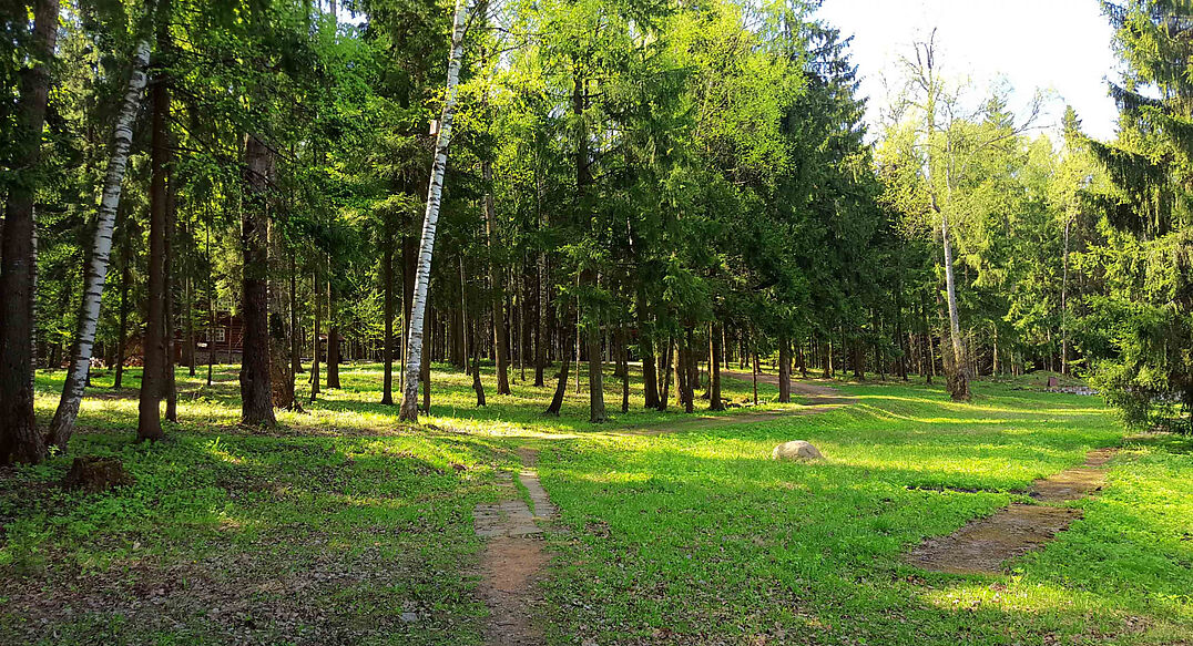 Трудовая Северная