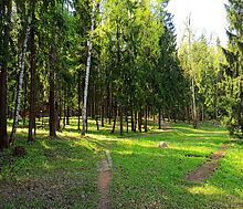 Трудовая Северная