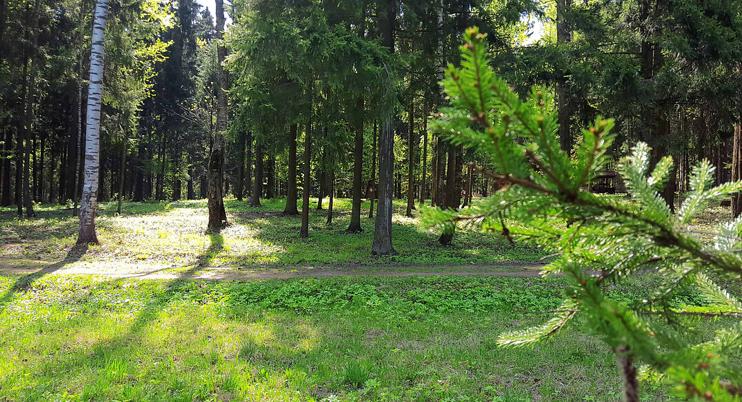 Трудовая Северная