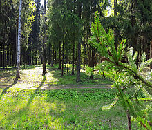 Трудовая Северная