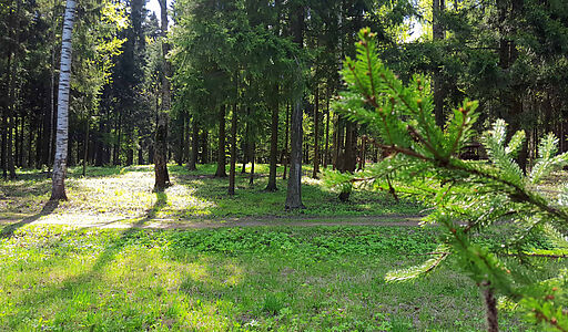 Трудовая Северная