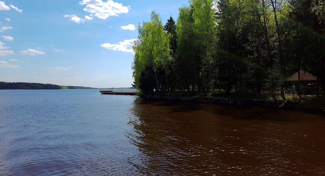 Трудовая Северная