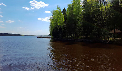 Трудовая Северная