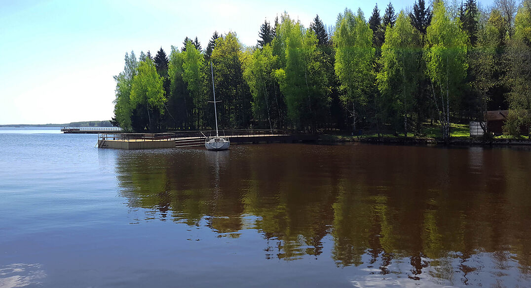 Трудовая Северная