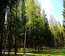 Трудовая Северная