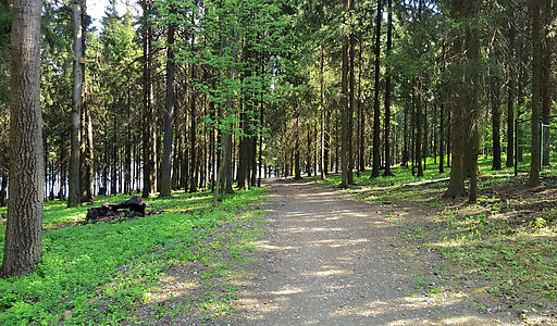 Трудовая Северная