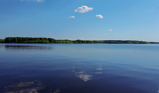 Трудовая Северная