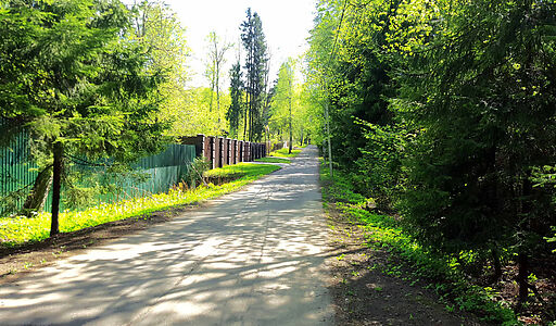 Трудовая Северная