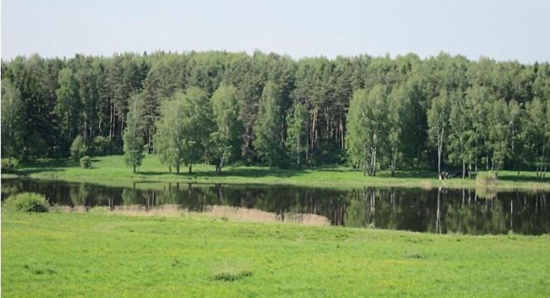 Аква Форест