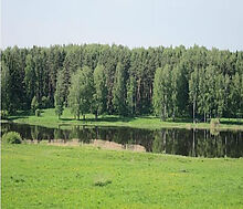 Аква Форест