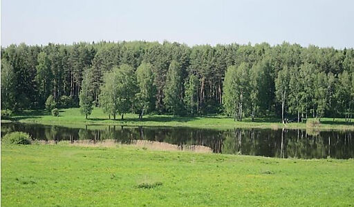 Аква Форест