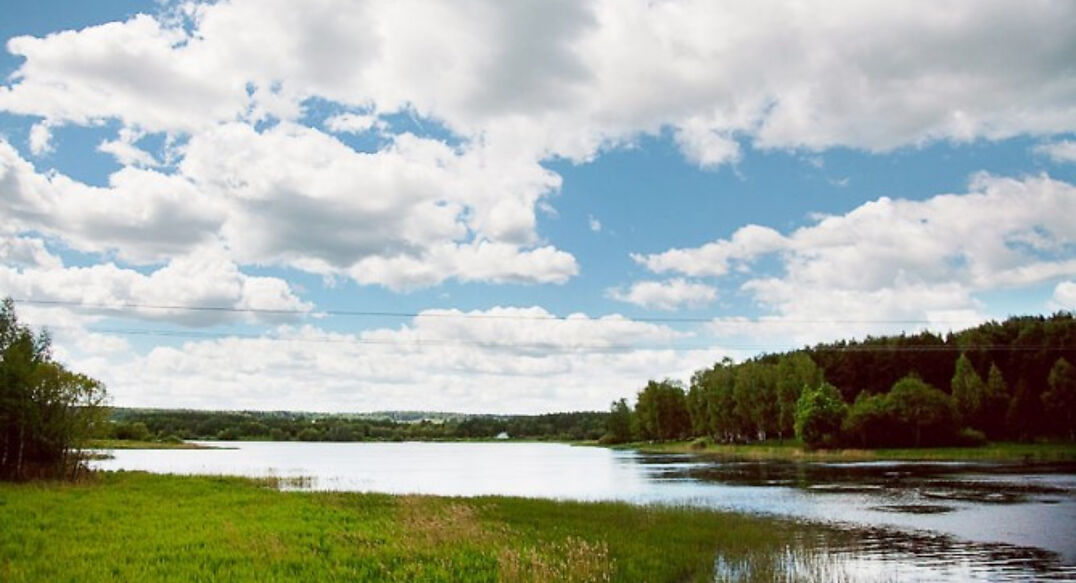 Аква Форест