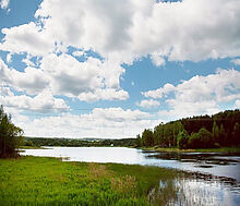 Аква Форест