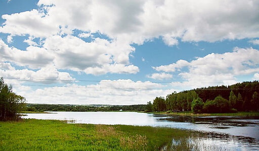 Аква Форест