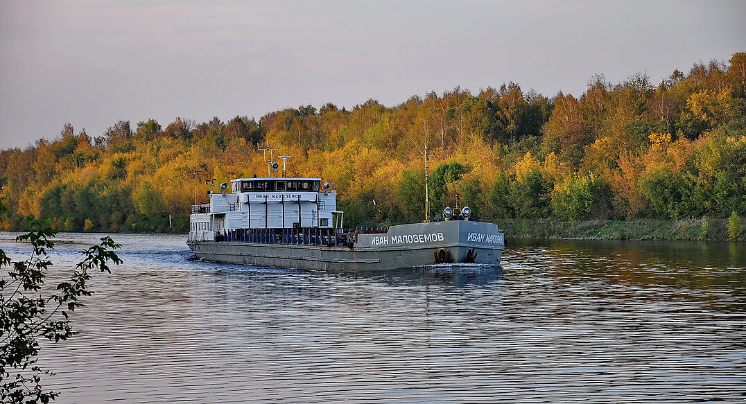 Аква Форест