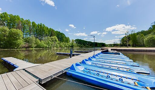 Берег хонка