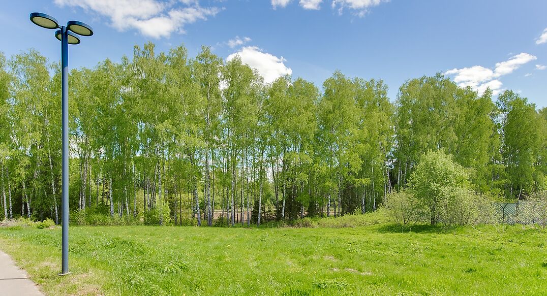 Берег хонка