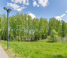 Берег хонка