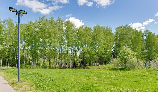 Берег хонка