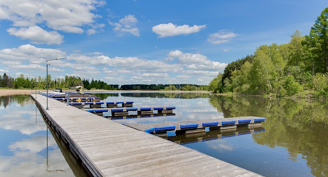 Берег хонка