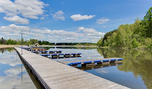 Берег хонка