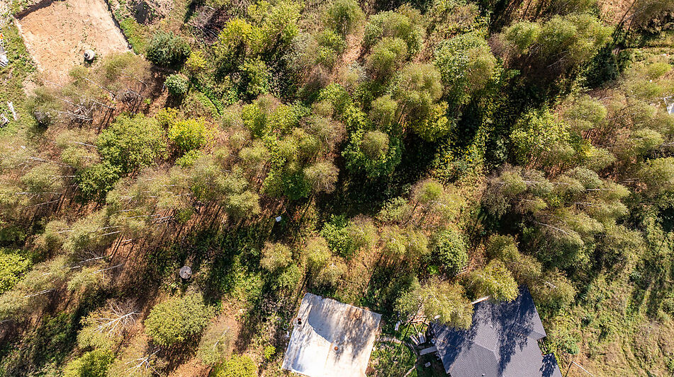 Живописный участок в КП Реки