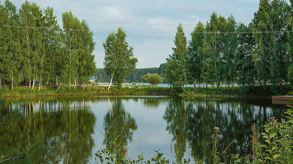 Дом на берегу Рыбинского водохранилища