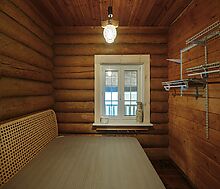 Дом на берегу Рыбинского водохранилища