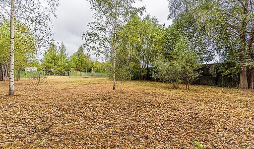 Дом в деревне Беляниново