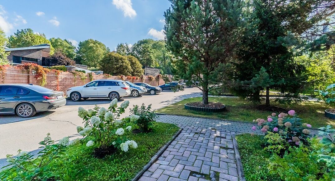 Зеленые холмы