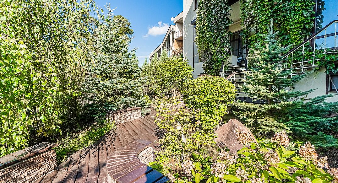 Зеленые холмы